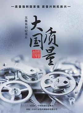 《大国质量》：探寻中国制造背后的匠心与创新，看大国如何崛起？