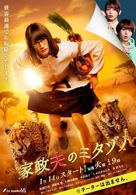 《家政夫三田园 第7季》回归！深度解析、爆笑看点，揭秘家政背后的秘密！