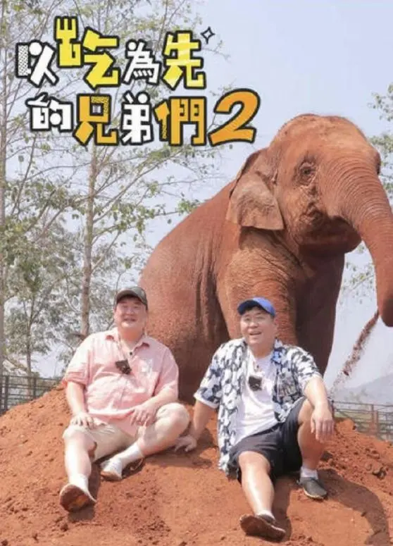 《吃吃喝喝的兄弟们2》：兄弟情深与美食狂欢的搞笑之旅