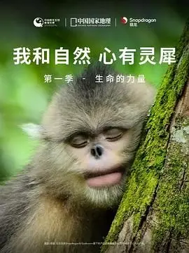 《我和自然 心有灵犀》第一季：生命的力量，看得我热泪盈眶，这纪录片绝了！